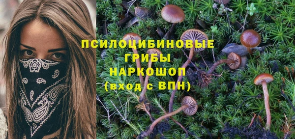 кокс Горняк